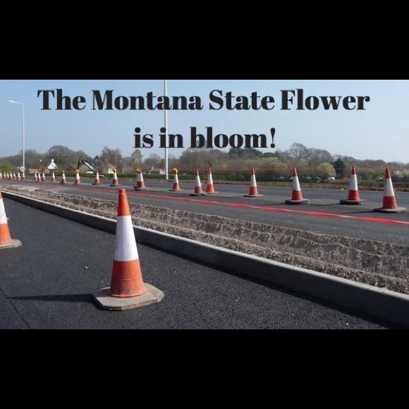 Meet your Posher, Cole. 🚭 - Picture 4 of 8